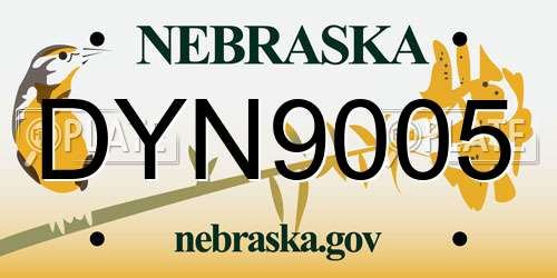 DYN9005 Nebraska License Plate