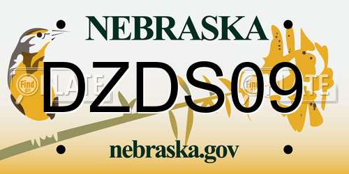 DZDS09 Nebraska License Plate