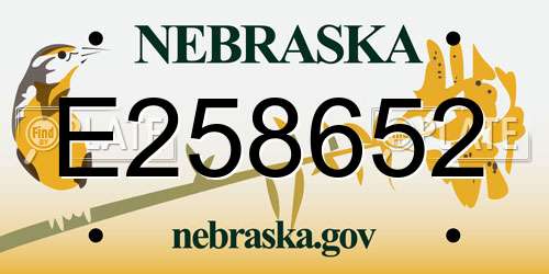 E258652 Nebraska License Plate