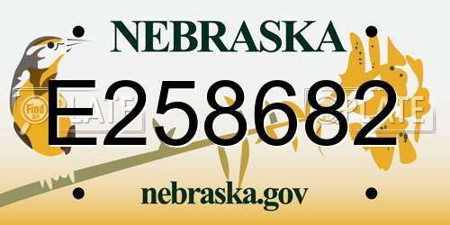 E258682 Nebraska License Plate