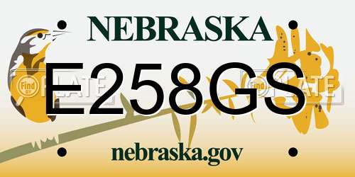 E258GS Nebraska License Plate