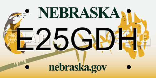 E25GDH Nebraska License Plate