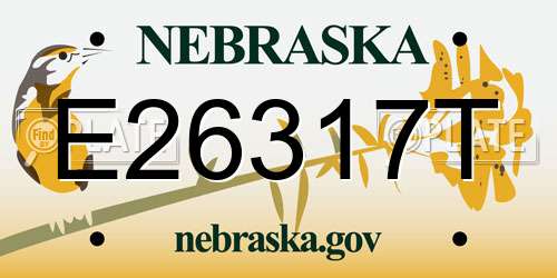 E26317T Nebraska License Plate