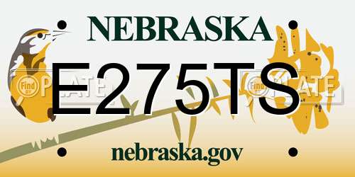 E275TS Nebraska License Plate