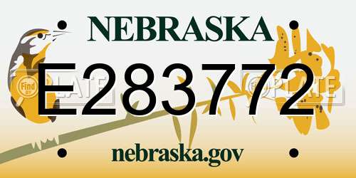 E283772 Nebraska License Plate