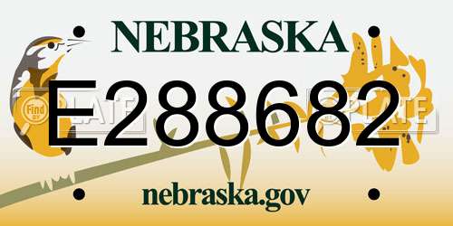 E288682 Nebraska License Plate