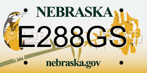 E288GS Nebraska License Plate