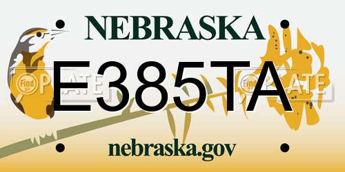 E385TA Nebraska License Plate