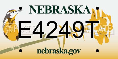 E4249T Nebraska License Plate