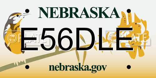 E56DLE Nebraska License Plate