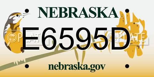 E6595D Nebraska License Plate