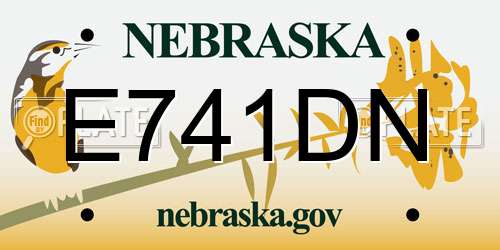 E741DN Nebraska License Plate