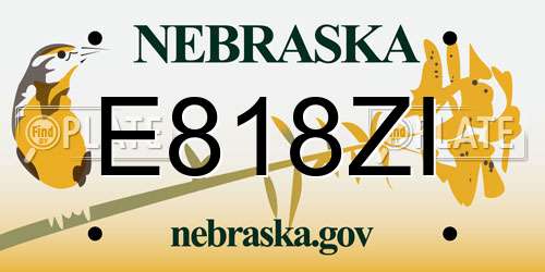 E818ZI Nebraska License Plate