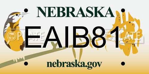 EAIB81 Nebraska License Plate