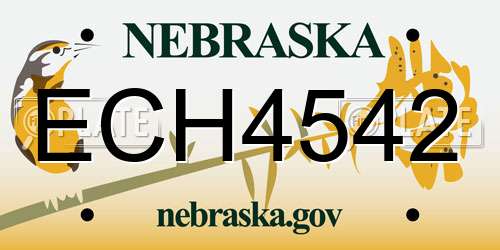 ECH4542 Nebraska License Plate