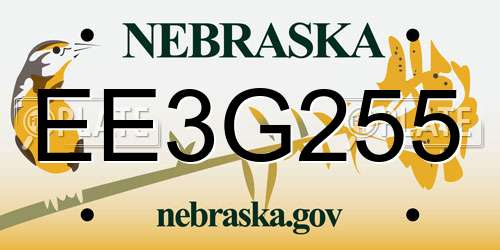 EE3G255 Nebraska License Plate