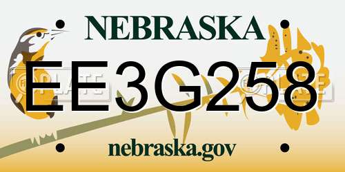 EE3G258 Nebraska License Plate