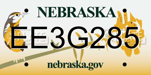 EE3G285 Nebraska License Plate