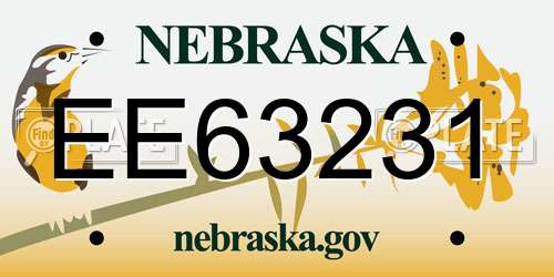EE63231 Nebraska License Plate