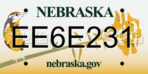 EE6E231 Nebraska License Plate