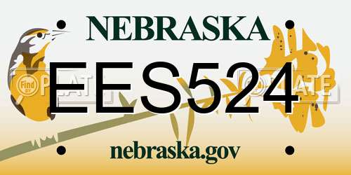 EES524 Nebraska License Plate