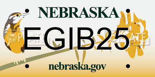 EGIB25 Nebraska License Plate