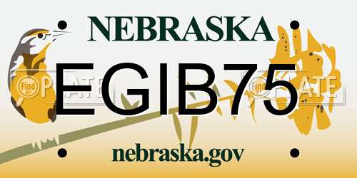 EGIB75 Nebraska License Plate
