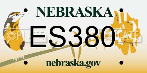 ES380 Nebraska License Plate
