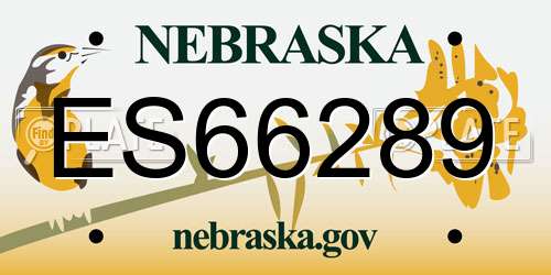 ES66289 Nebraska License Plate