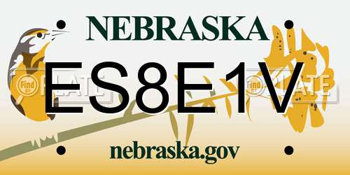 ES8E1V Nebraska License Plate