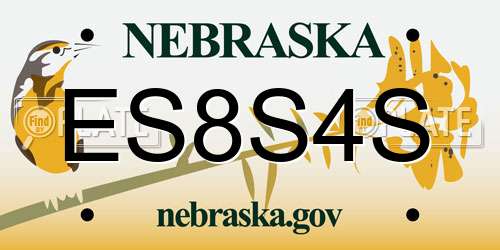 ES8S4S Nebraska License Plate