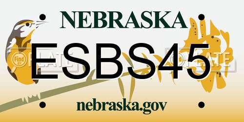 ESBS45 Nebraska License Plate