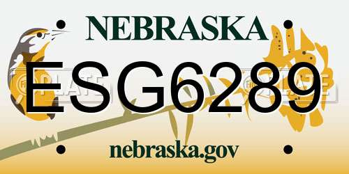 ESG6289 Nebraska License Plate