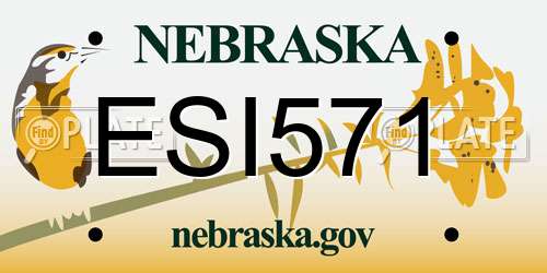 ESI571 Nebraska License Plate