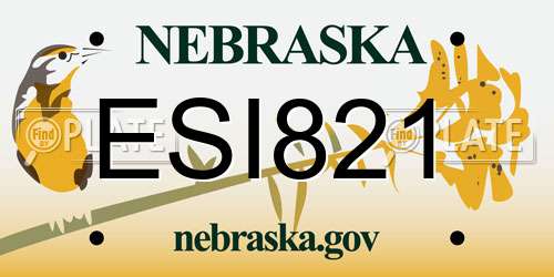 ESI821 Nebraska License Plate