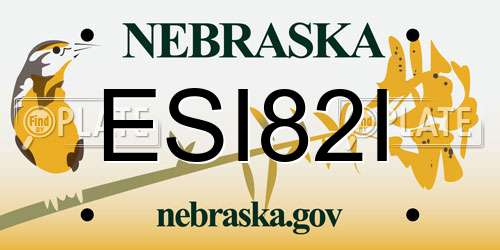ESI82I Nebraska License Plate