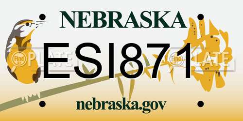 ESI871 Nebraska License Plate