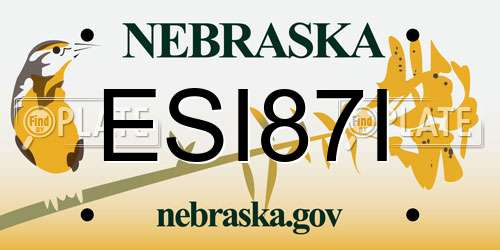 ESI87I Nebraska License Plate