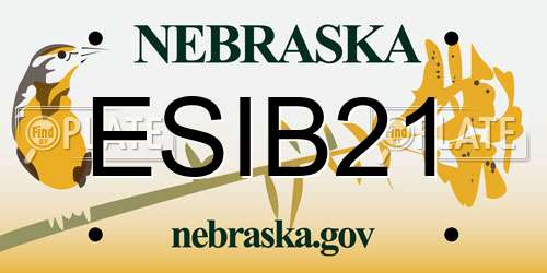ESIB21 Nebraska License Plate