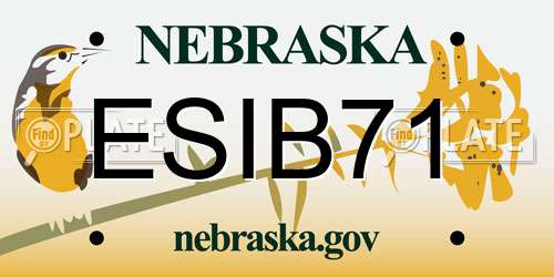 ESIB71 Nebraska License Plate