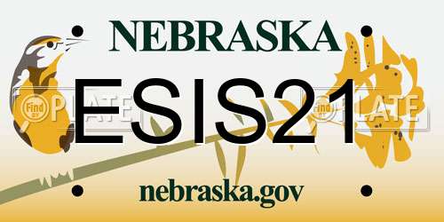 ESIS21 Nebraska License Plate