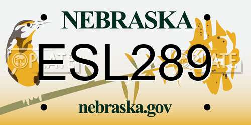 ESL289 Nebraska License Plate
