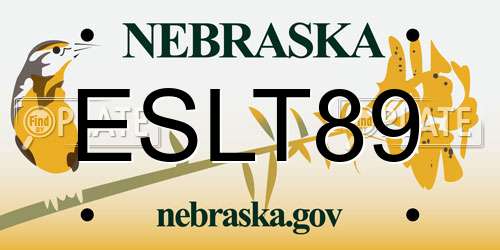 ESLT89 Nebraska License Plate