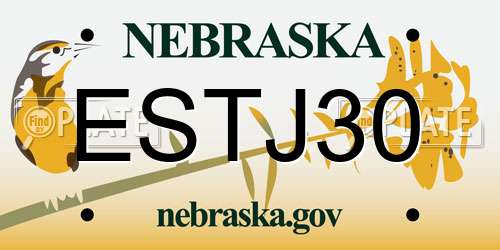 ESTJ30 Nebraska License Plate