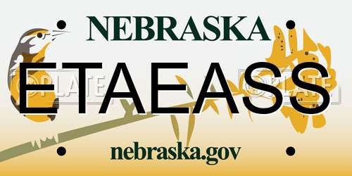 ETAEASS Nebraska License Plate