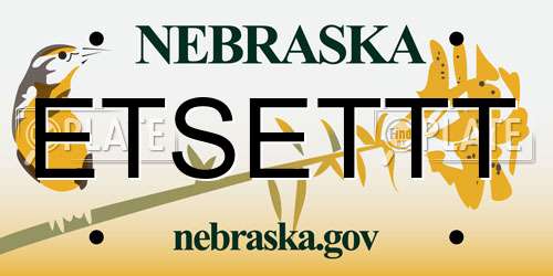 ETSETTT Nebraska License Plate