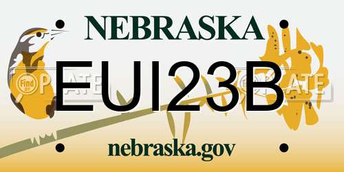 EUI23B Nebraska License Plate