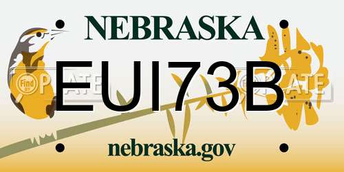 EUI73B Nebraska License Plate