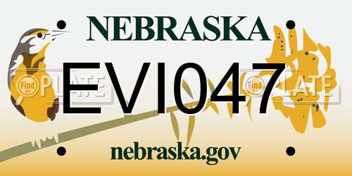 EVI047 Nebraska License Plate