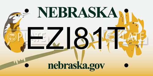 EZI81T Nebraska License Plate